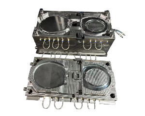 TOILET SEAT COVER MOULD