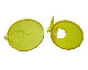 Waste bin mould
